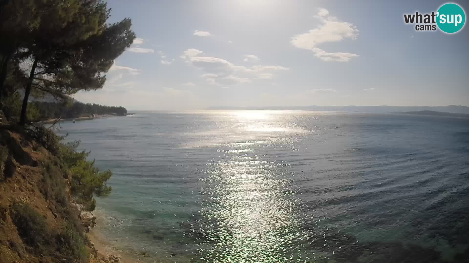 Webcam Potočine Beach Bol – Live View of Borak Beach, Brač Island