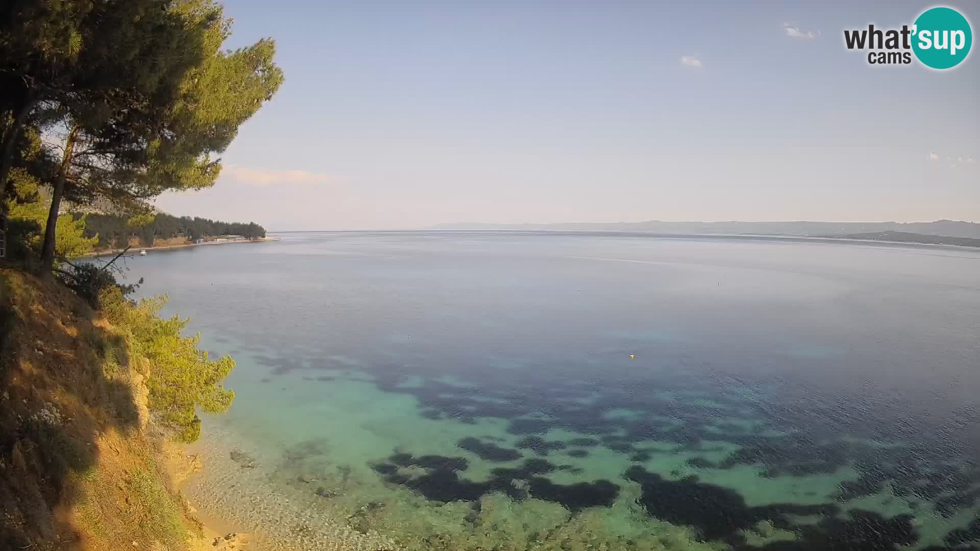 Webcam Playa Potočine Bol – Vista en vivo de Borak Beach, Isla de Brač