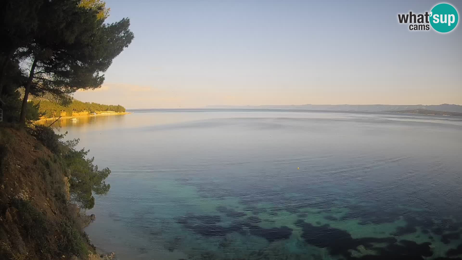 Webcam Potočine Beach Bol – Live View of Borak Beach, Brač Island
