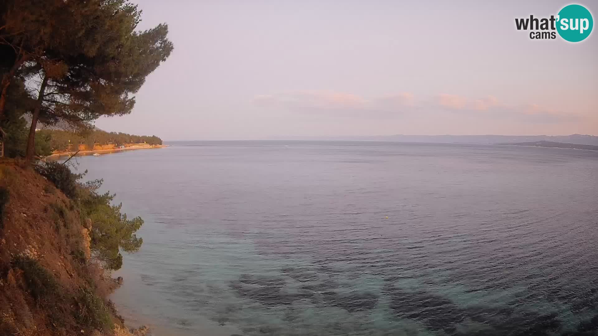 Webcam Potočine Beach Bol – Live View of Borak Beach, Brač Island