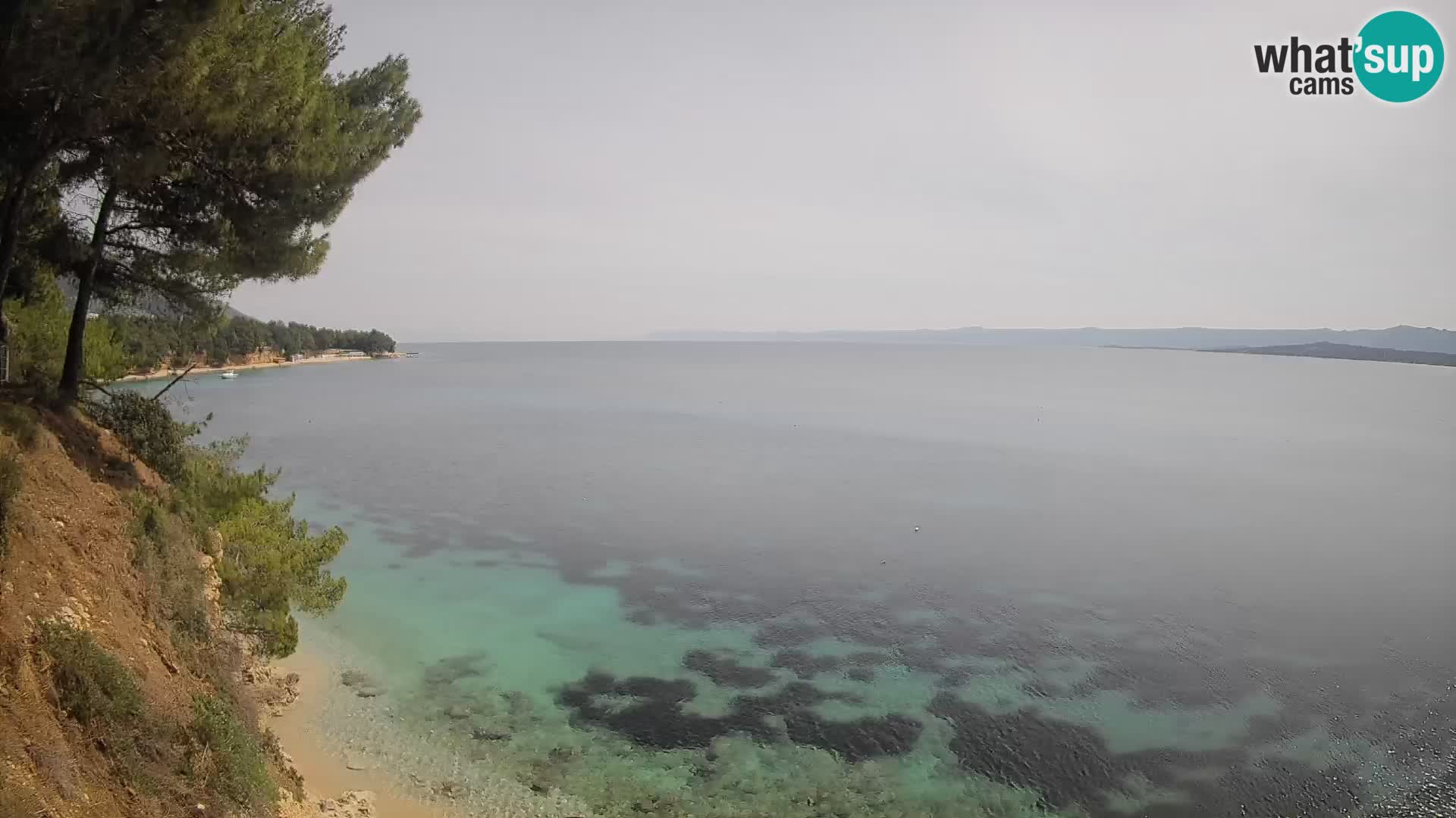 Webcam plage Potočine Bol – Vue en direct sur Borak Beach, île de Brač