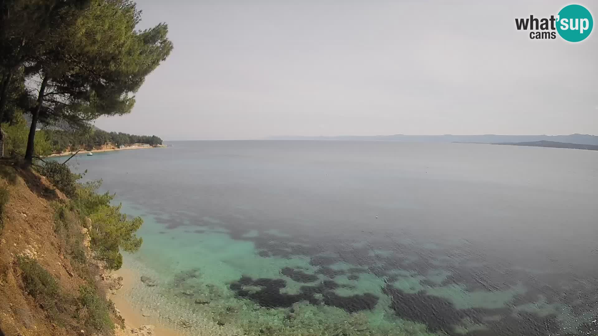 Webcam Potočine Beach Bol – Live View of Borak Beach, Brač Island