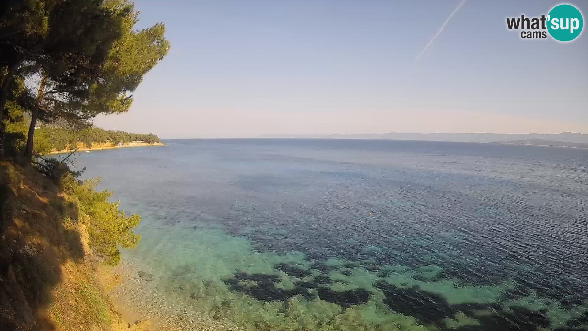 Webcam Potočine Beach Bol – Live View of Borak Beach, Brač Island