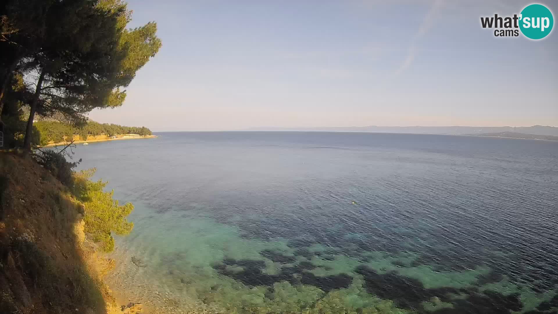 Web kamera Potočine Bol – Pogled uživo na plažu Borak, otok Brač
