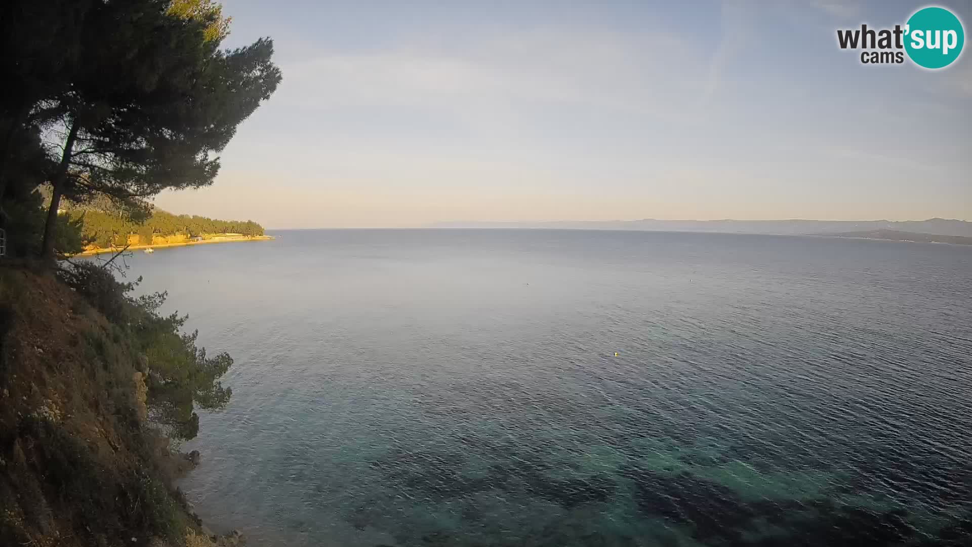 Webcam Potočine Beach Bol – Live View of Borak Beach, Brač Island