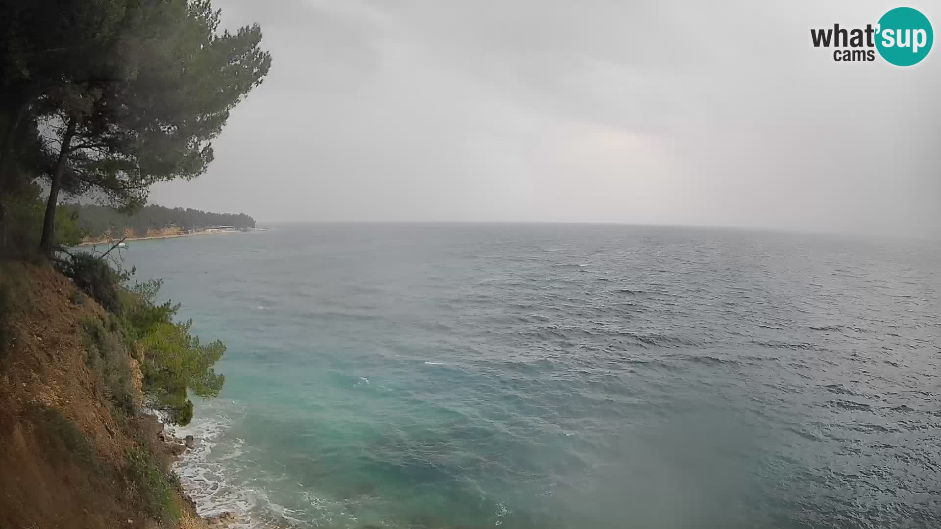 Webcam Potočine Beach Bol – Live View of Borak Beach, Brač Island
