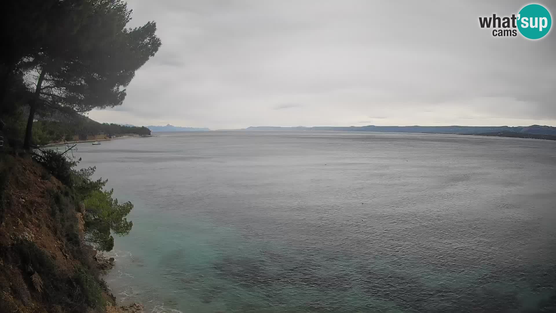 Webcam Potočine Beach Bol – Live View of Borak Beach, Brač Island