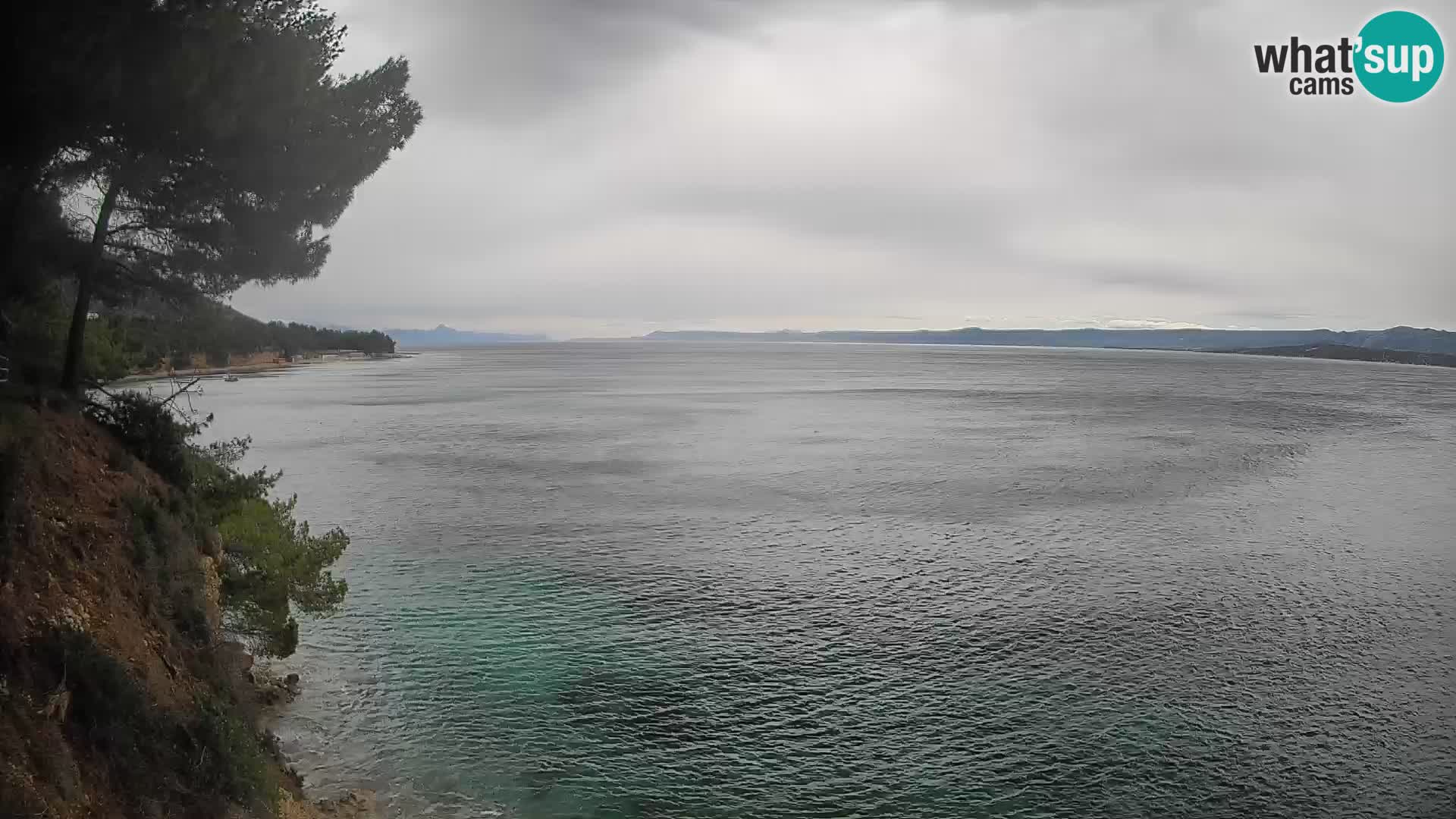 Webcam Potočine Beach Bol – Live View of Borak Beach, Brač Island