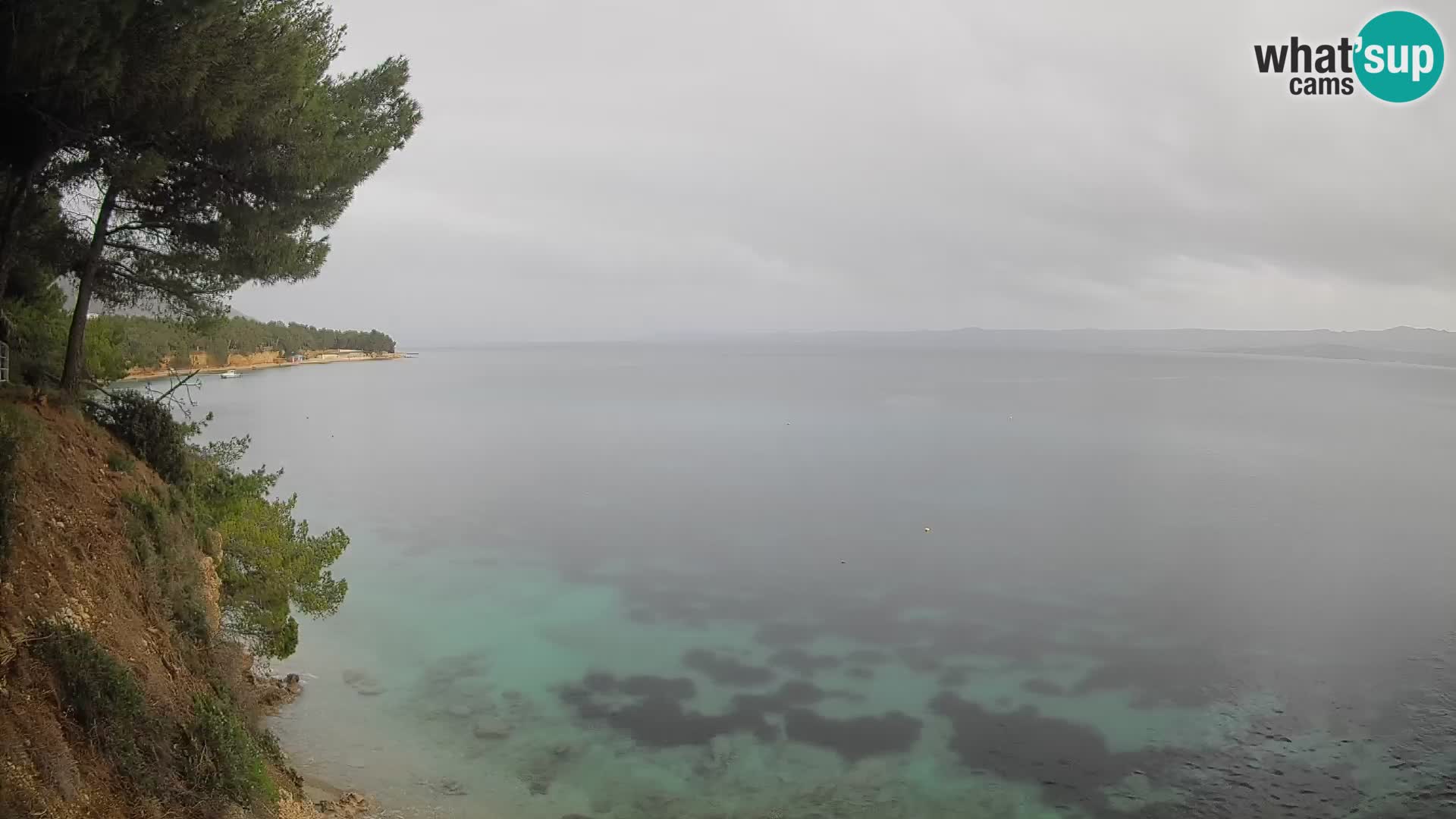 Webcam plage Potočine Bol – Vue en direct sur Borak Beach, île de Brač
