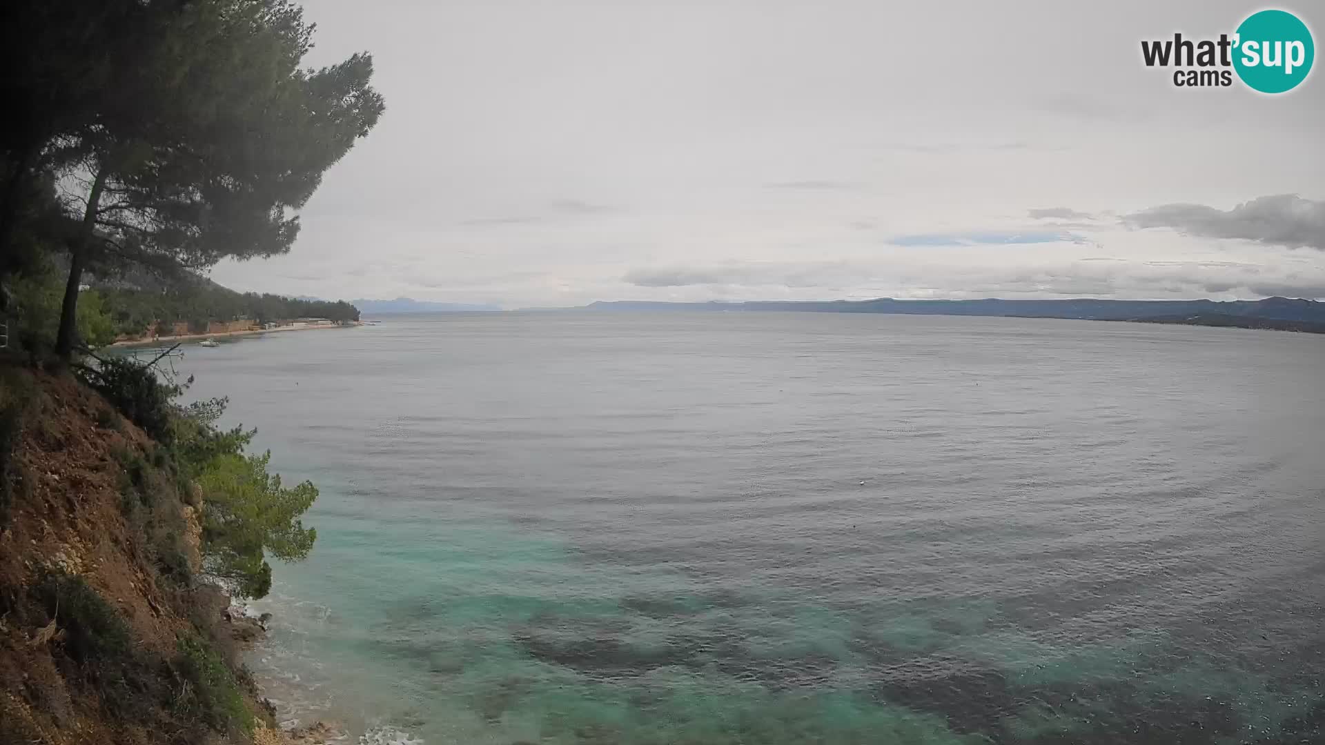 Webcam Playa Potočine Bol – Vista en vivo de Borak Beach, Isla de Brač