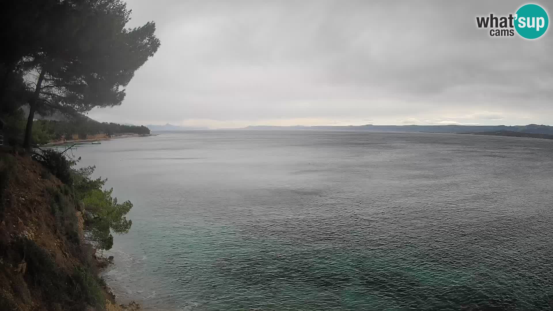Webcam Potočine Beach Bol – Live View of Borak Beach, Brač Island