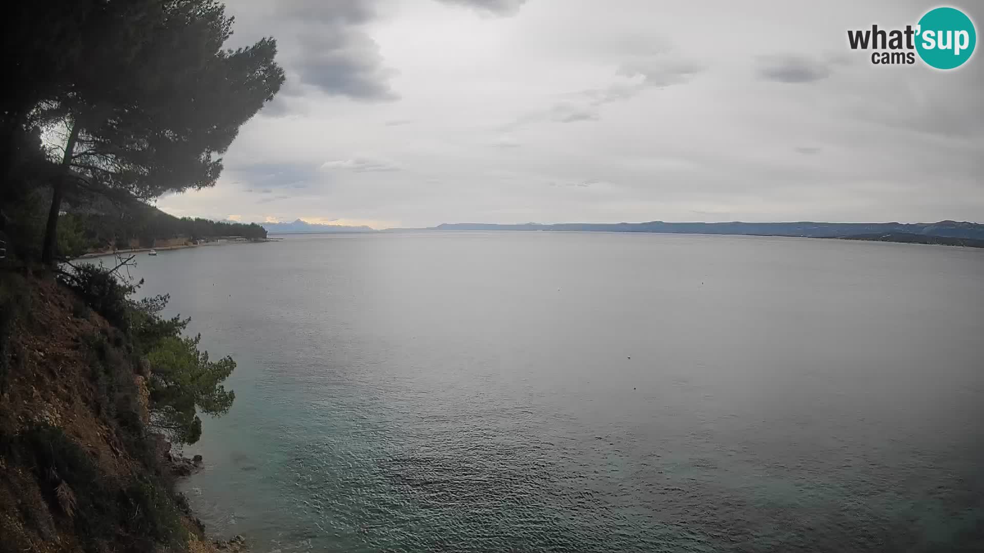 Webcam Potočine Beach Bol – Live View of Borak Beach, Brač Island