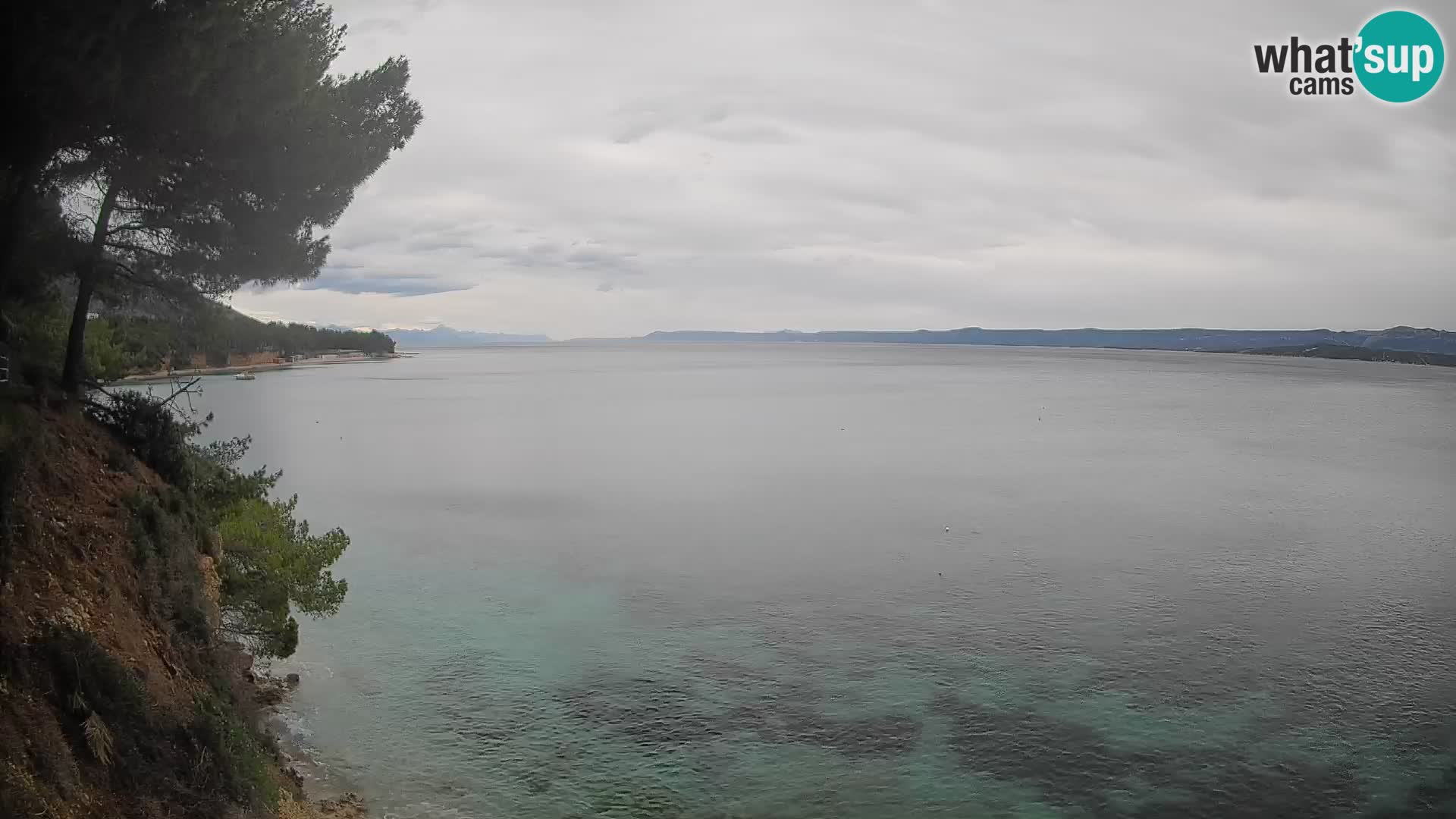 Webcam Potočine Beach Bol – Live View of Borak Beach, Brač Island