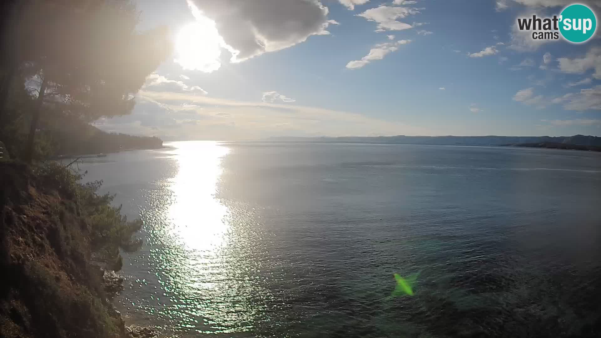 Webcam Potočine Beach Bol – Live View of Borak Beach, Brač Island