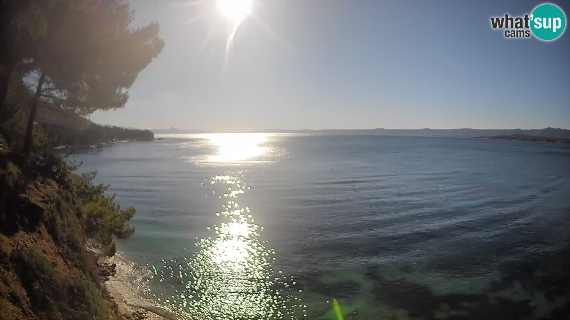 Spletna kamera Plaža Potočine Bol – Pogled v živo na plažo Borak, otok Brač