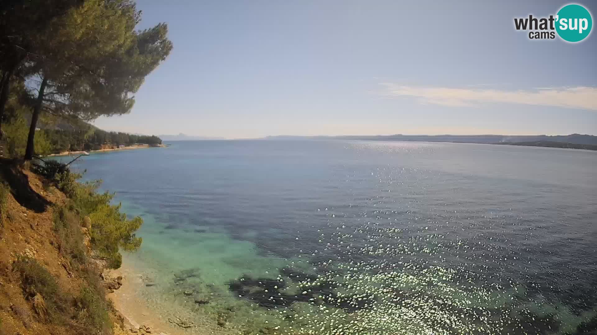 Webcam Potočine Beach Bol – Live View of Borak Beach, Brač Island