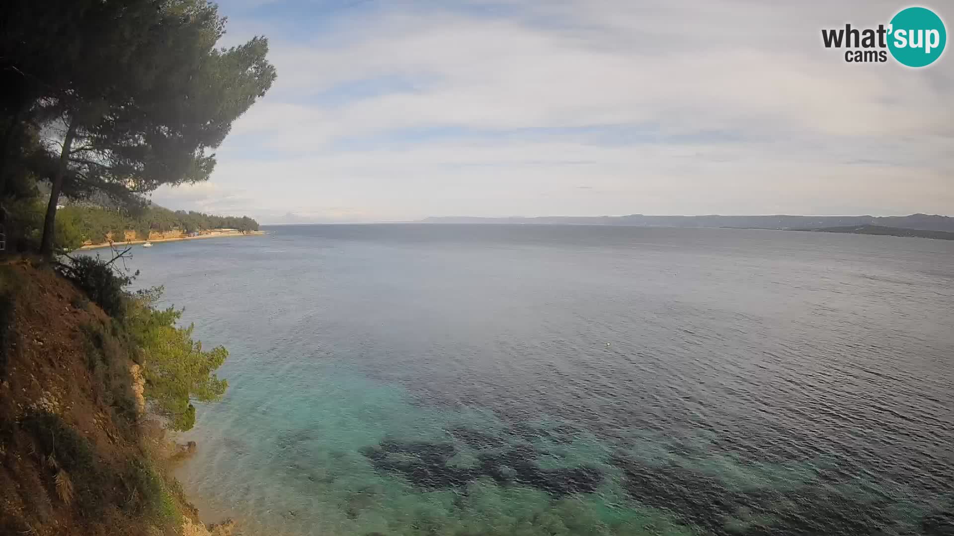 Webcam Playa Potočine Bol – Vista en vivo de Borak Beach, Isla de Brač