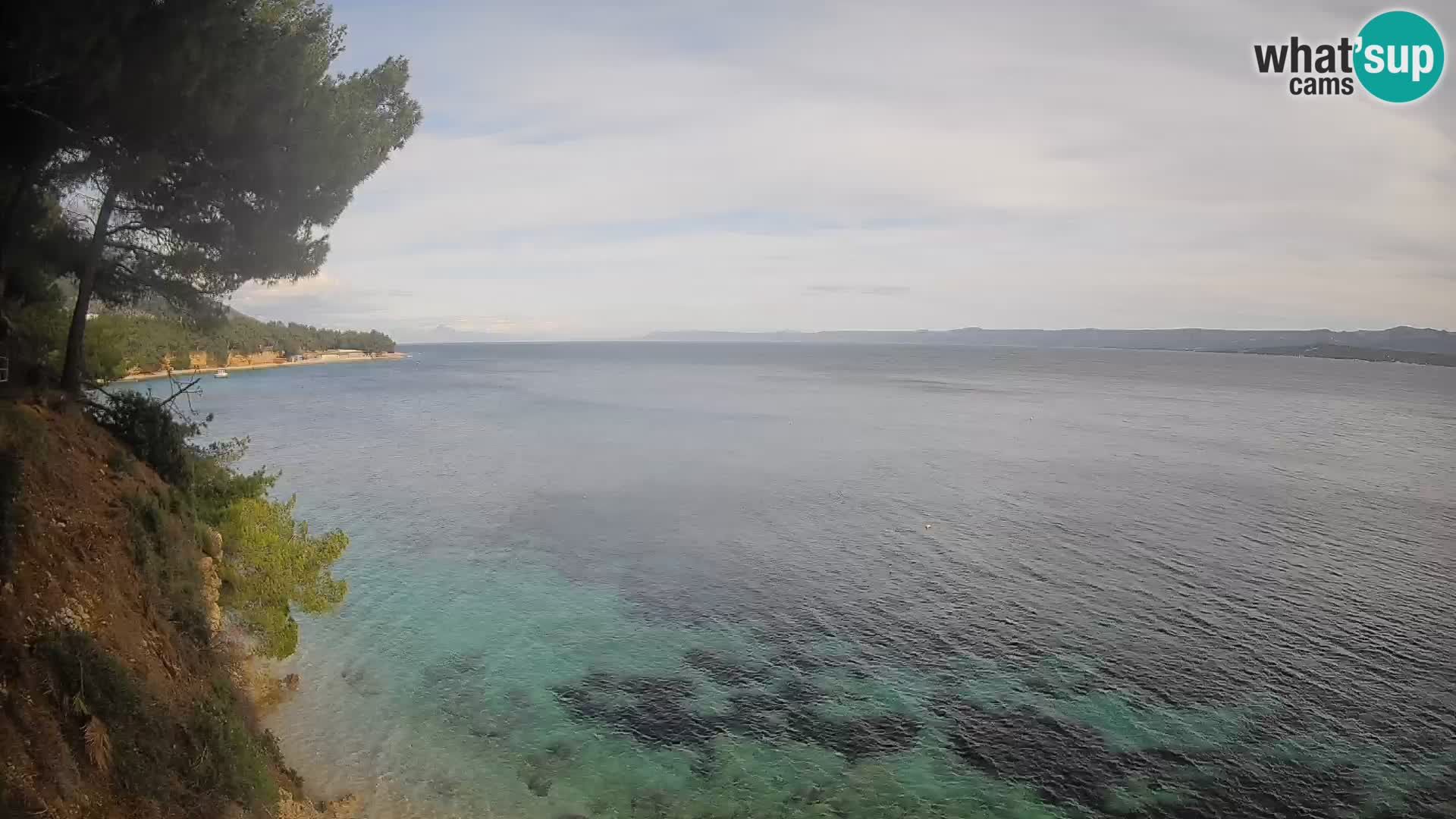 Webcam Potočine Beach Bol – Live View of Borak Beach, Brač Island