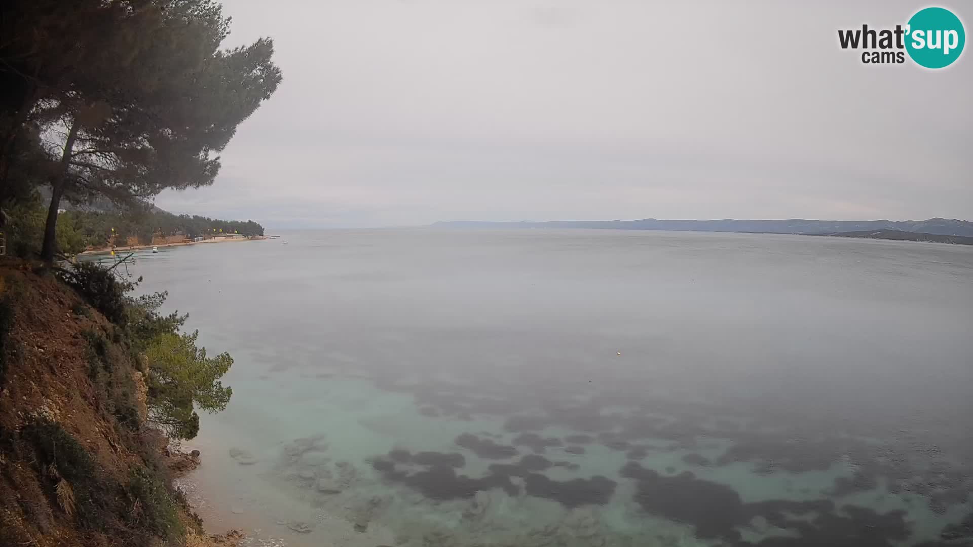 Webcam Potočine Beach Bol – Live View of Borak Beach, Brač Island