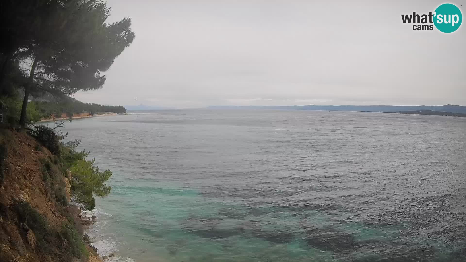 Web kamera Potočine Bol – Pogled uživo na plažu Borak, otok Brač