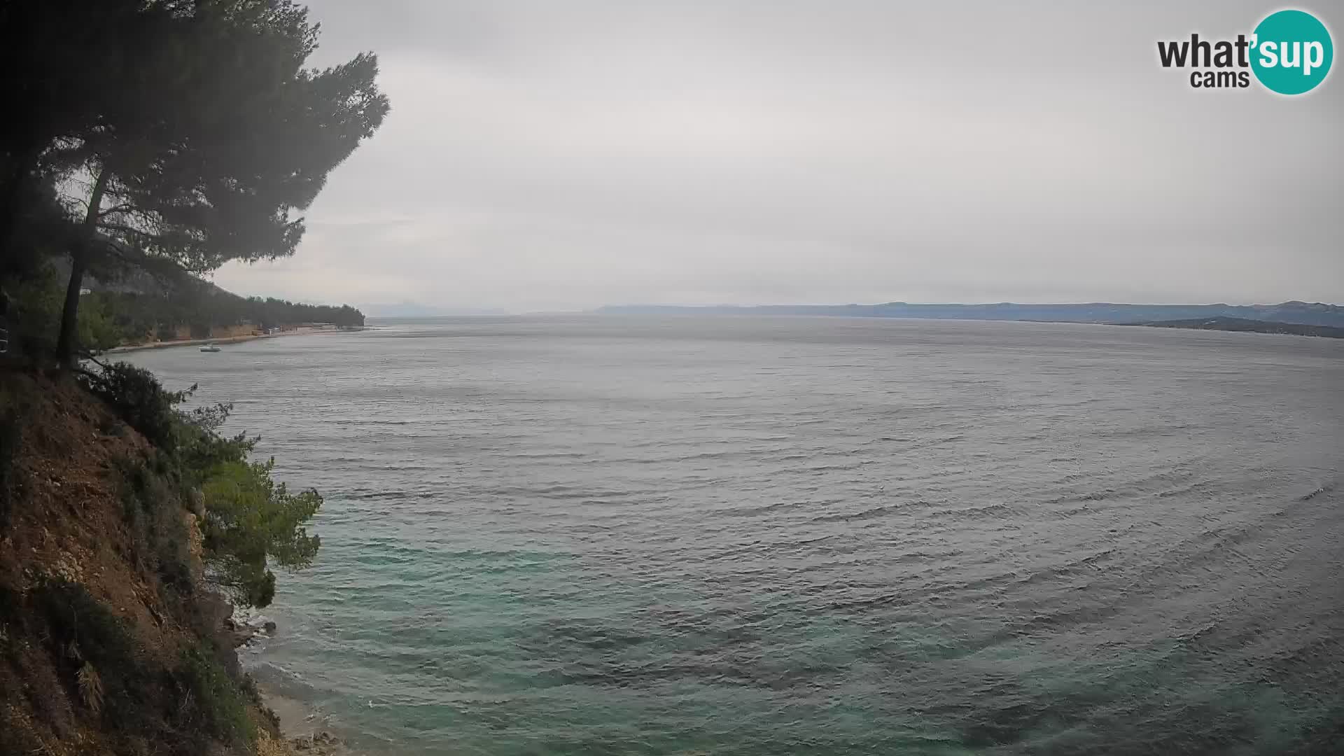 Webcam Potočine Beach Bol – Live View of Borak Beach, Brač Island