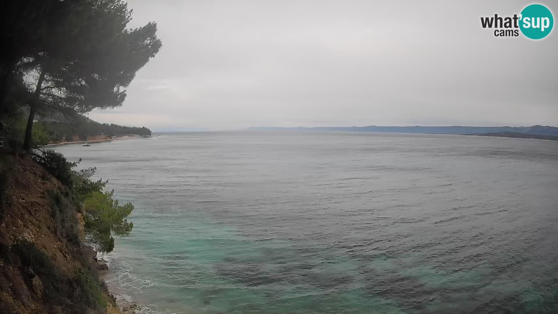 Webcam Playa Potočine Bol – Vista en vivo de Borak Beach, Isla de Brač