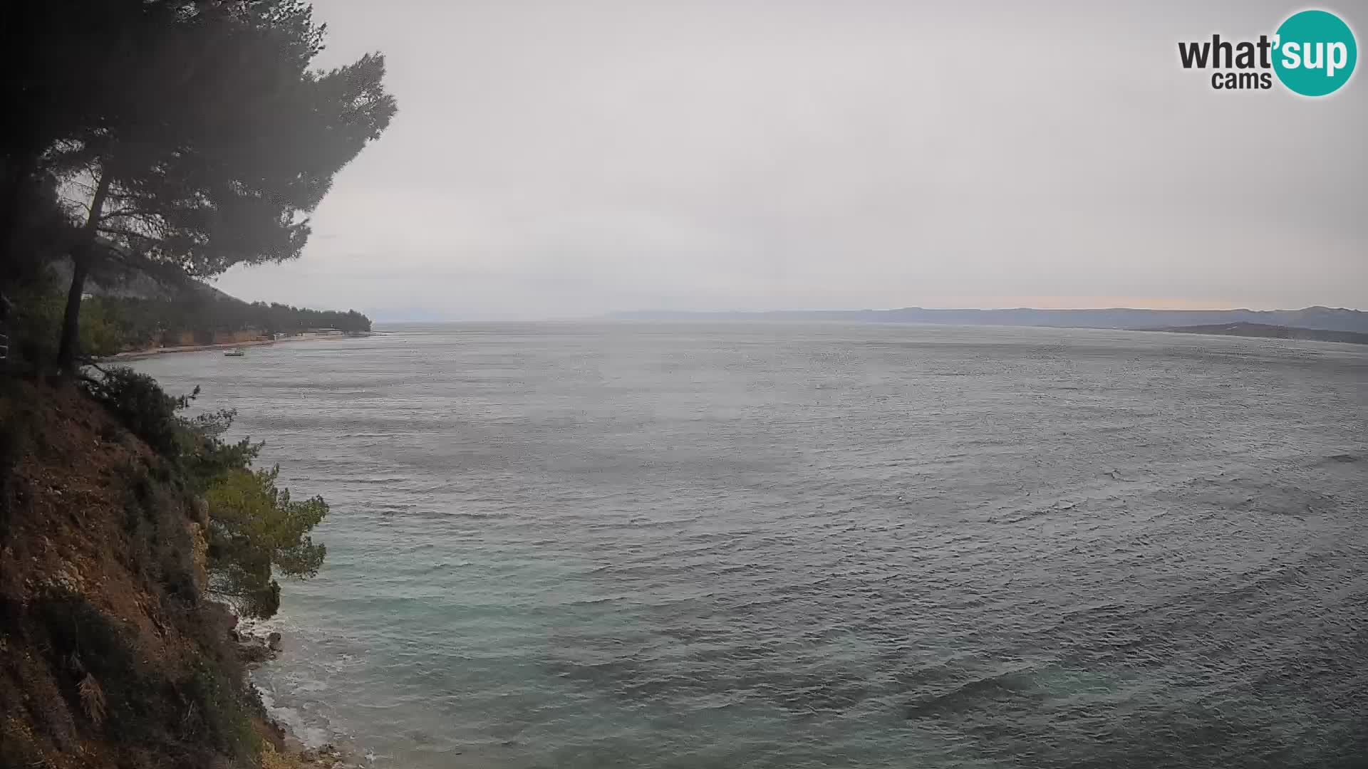 Webcam Potočine Beach Bol – Live View of Borak Beach, Brač Island
