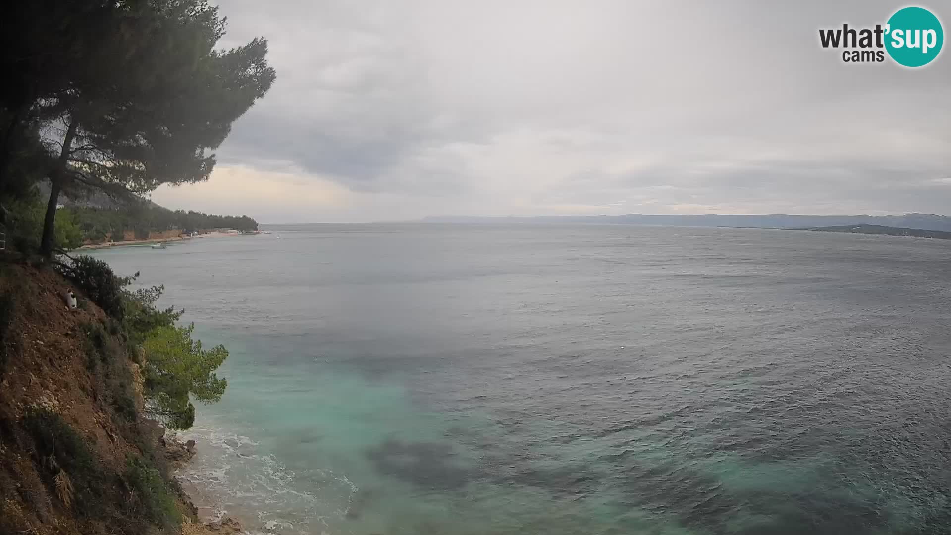 Webcam Potočine Beach Bol – Live View of Borak Beach, Brač Island