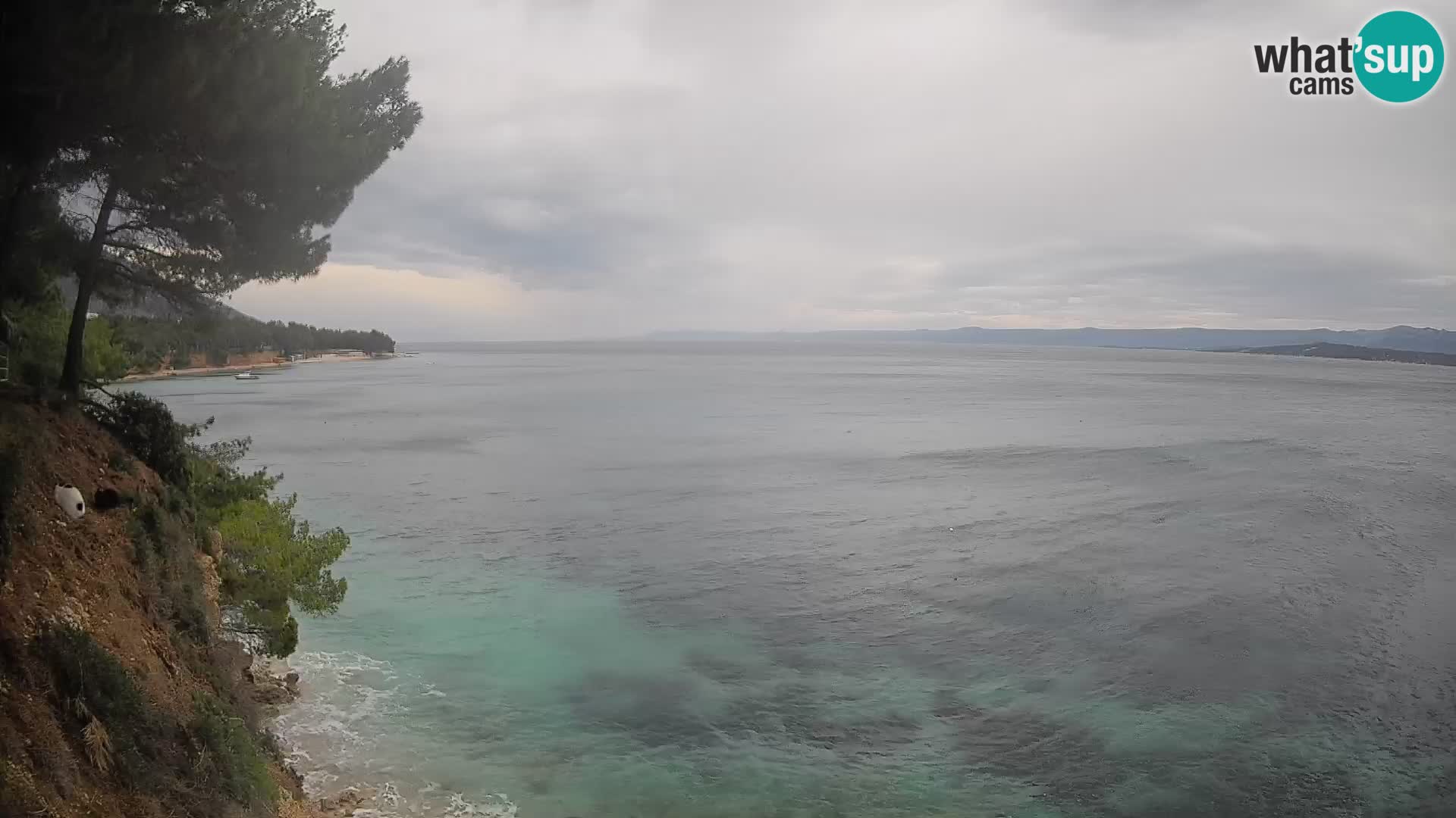 Spletna kamera Plaža Potočine Bol – Pogled v živo na plažo Borak, otok Brač