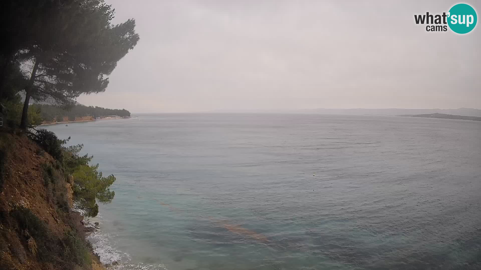 Webcam Playa Potočine Bol – Vista en vivo de Borak Beach, Isla de Brač