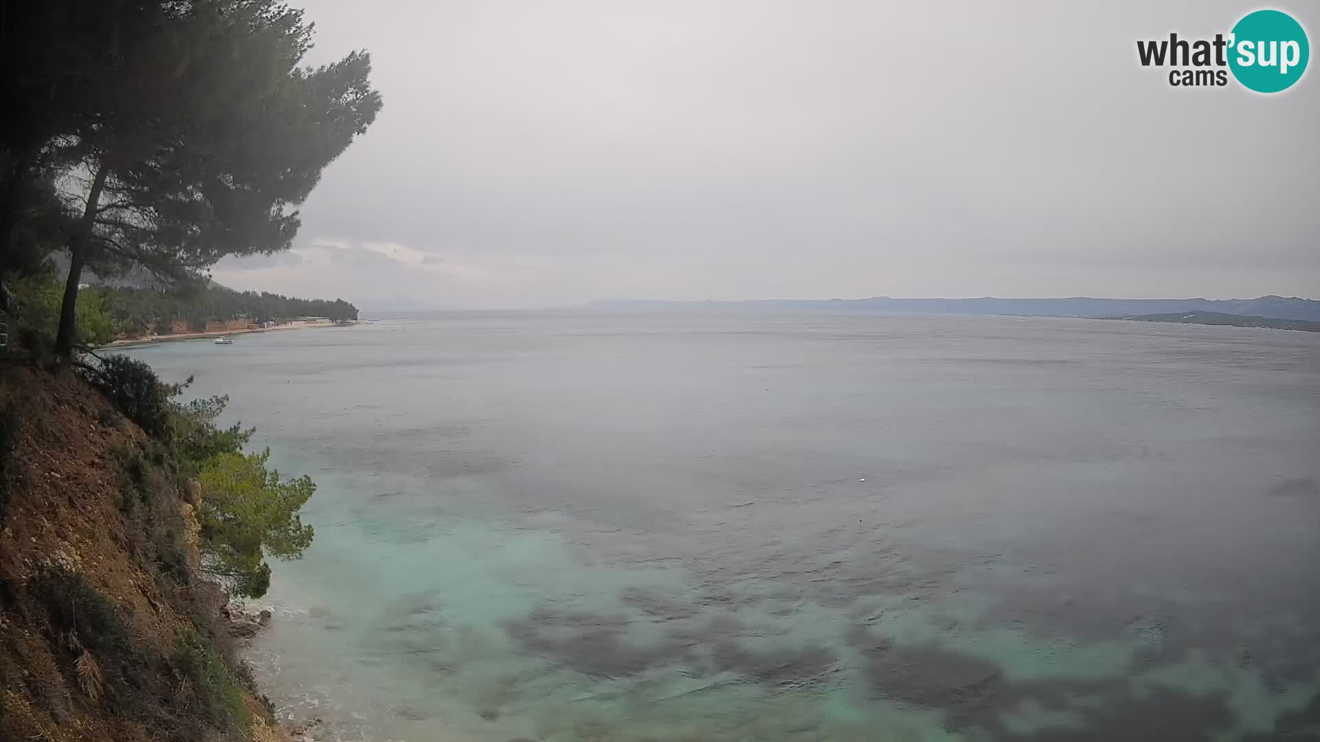 Webcam Potočine Beach Bol – Live View of Borak Beach, Brač Island