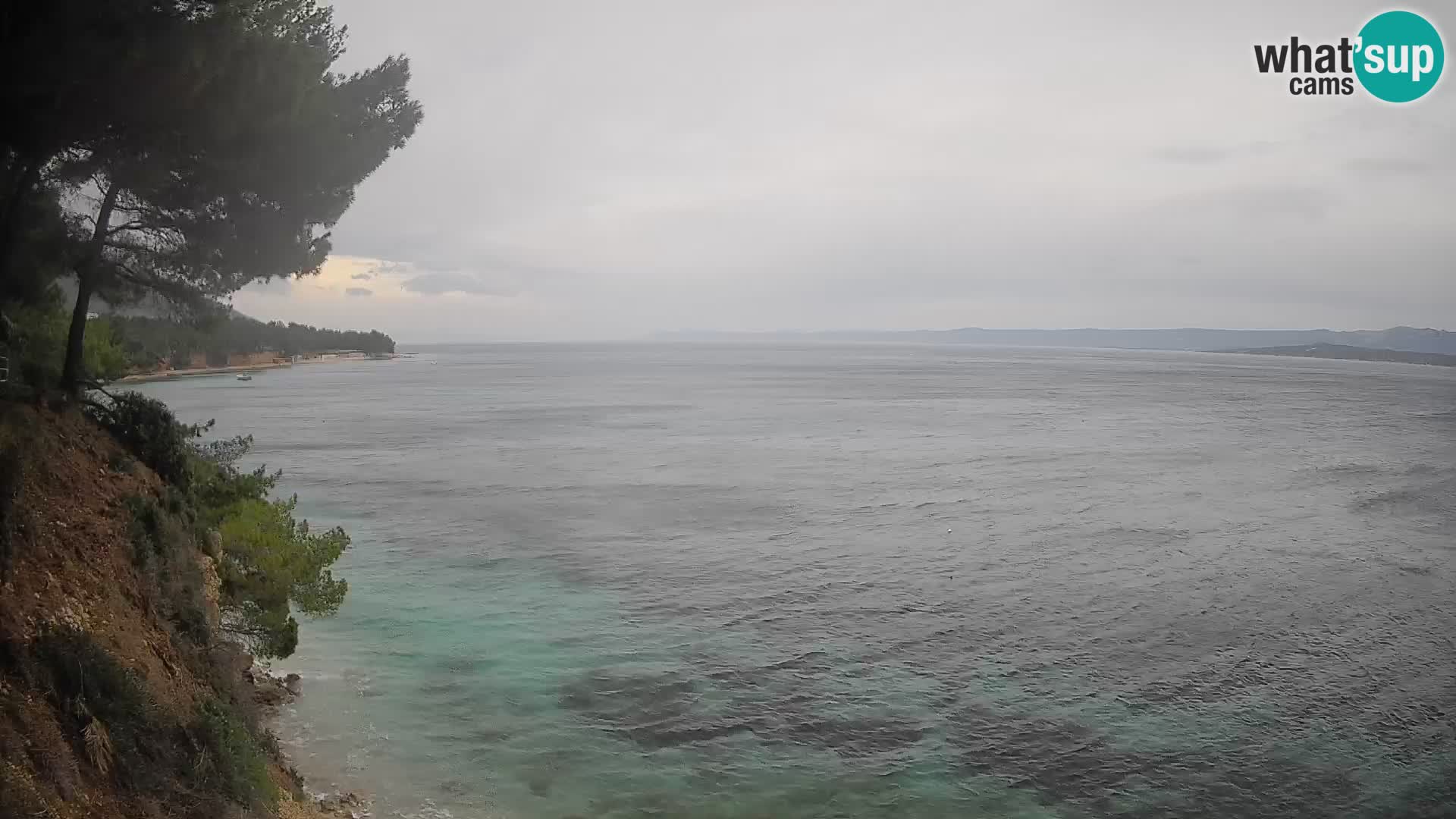 Webcam Playa Potočine Bol – Vista en vivo de Borak Beach, Isla de Brač