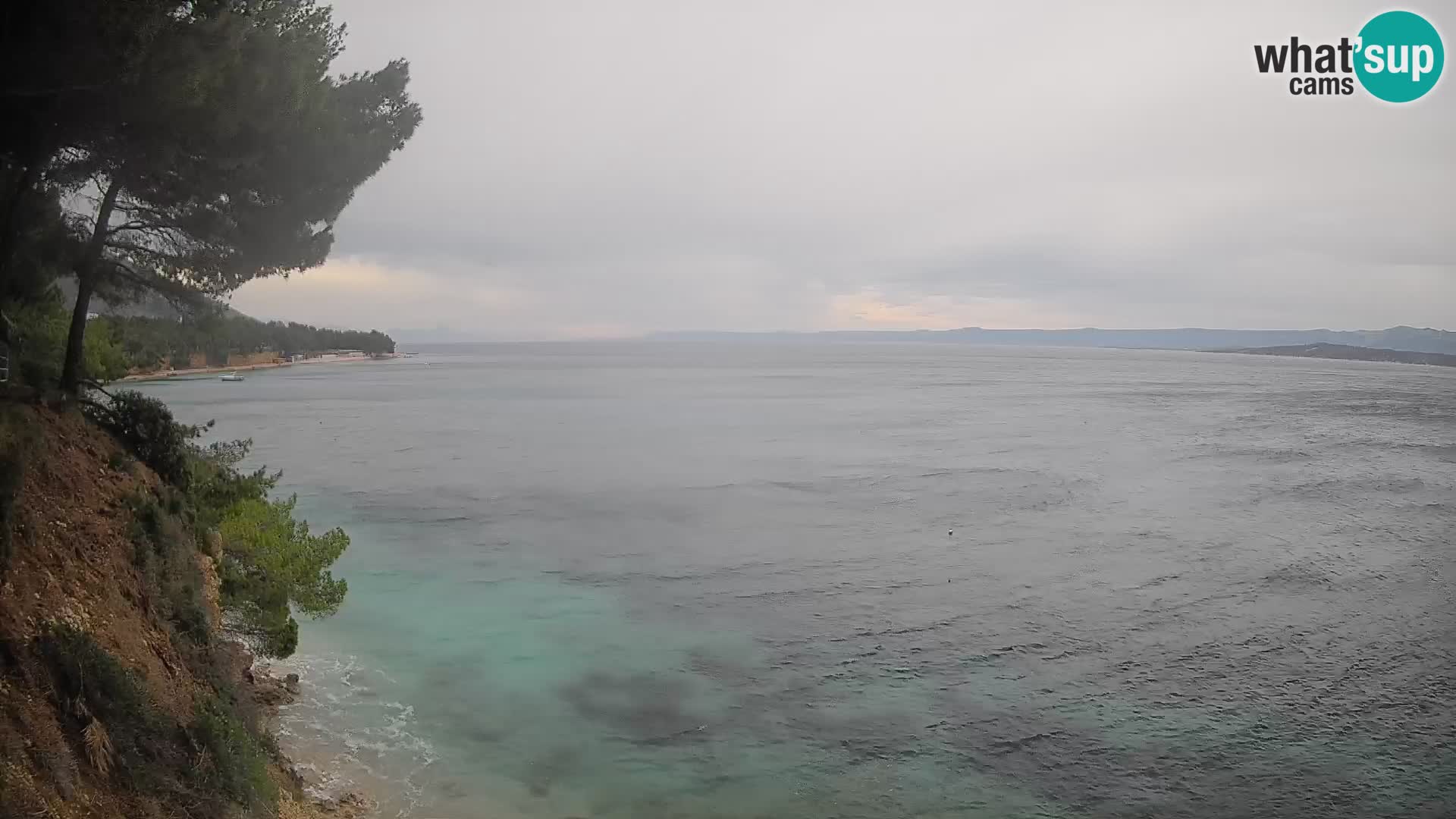 Webcam Potočine Beach Bol – Live View of Borak Beach, Brač Island