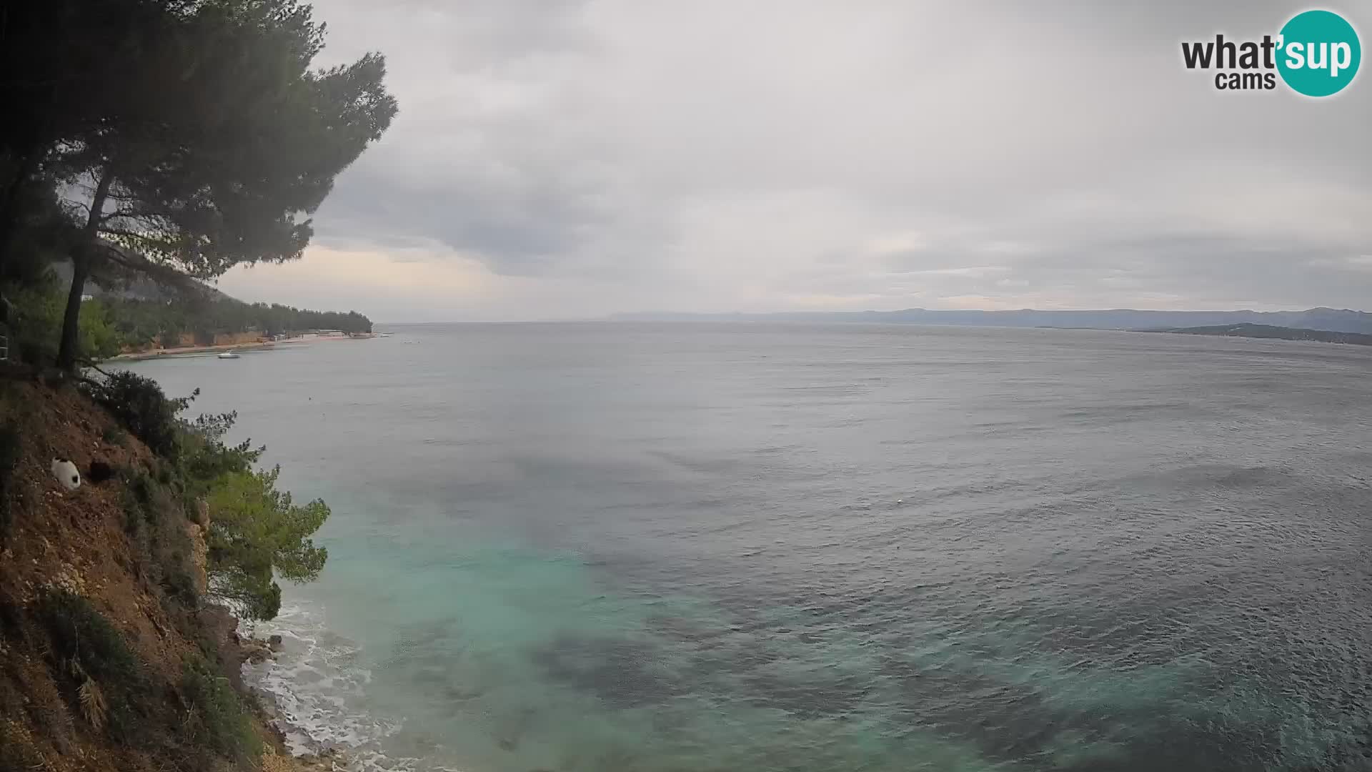 Webcam plage Potočine Bol – Vue en direct sur Borak Beach, île de Brač