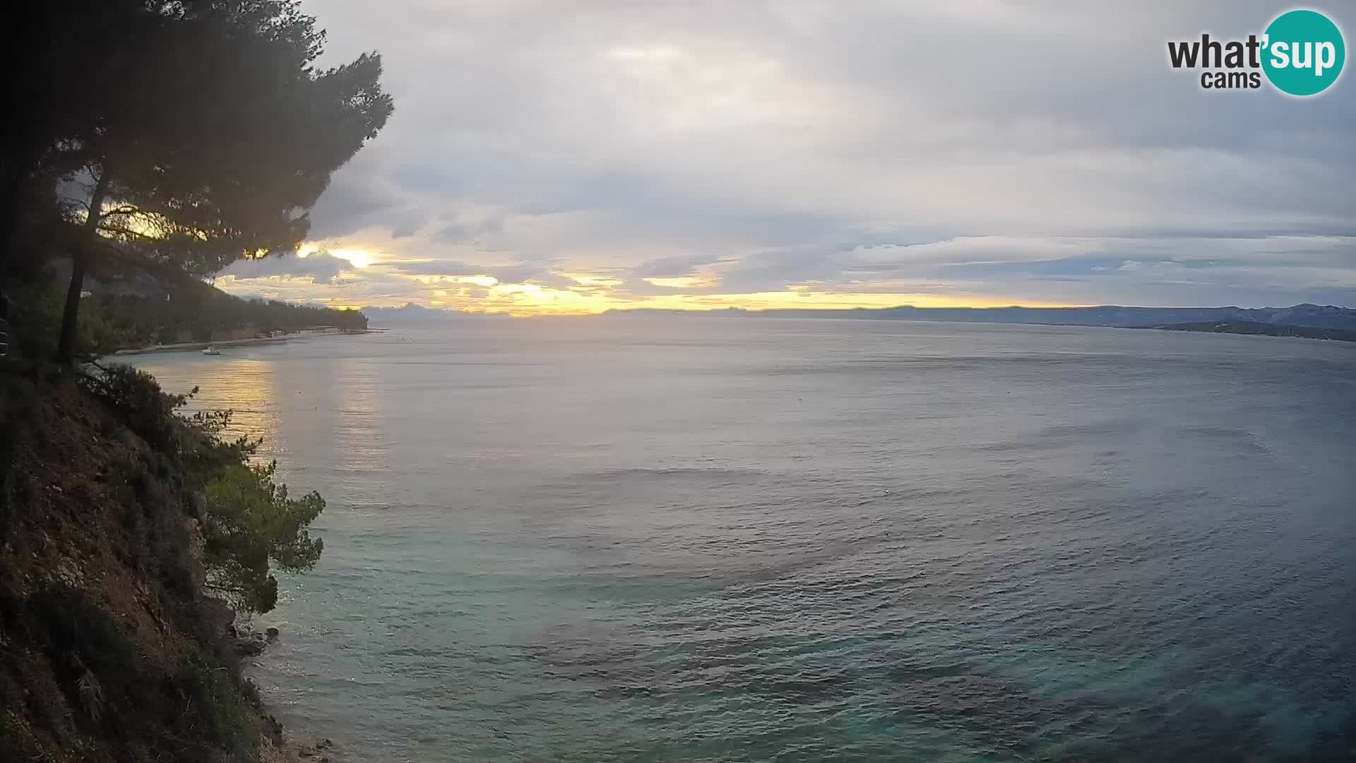 Webcam Potočine Beach Bol – Live View of Borak Beach, Brač Island