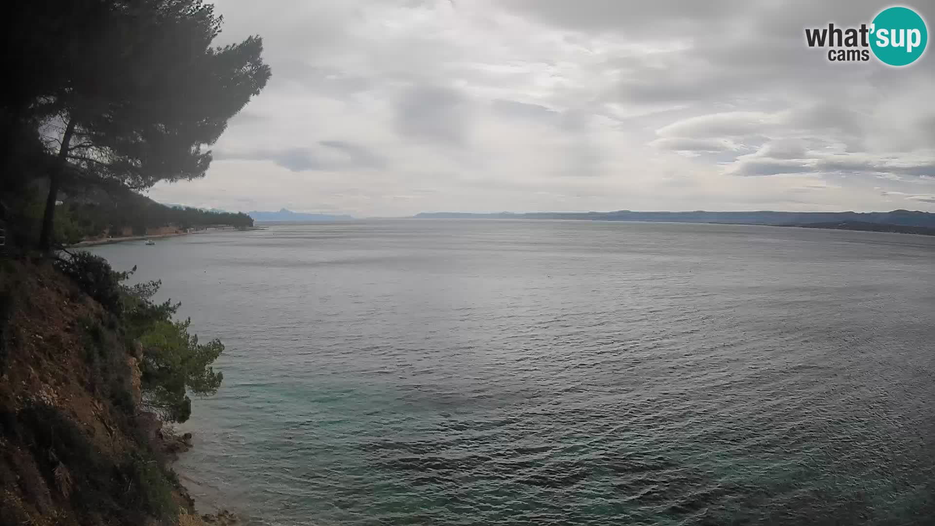 Webcam Potočine Beach Bol – Live View of Borak Beach, Brač Island
