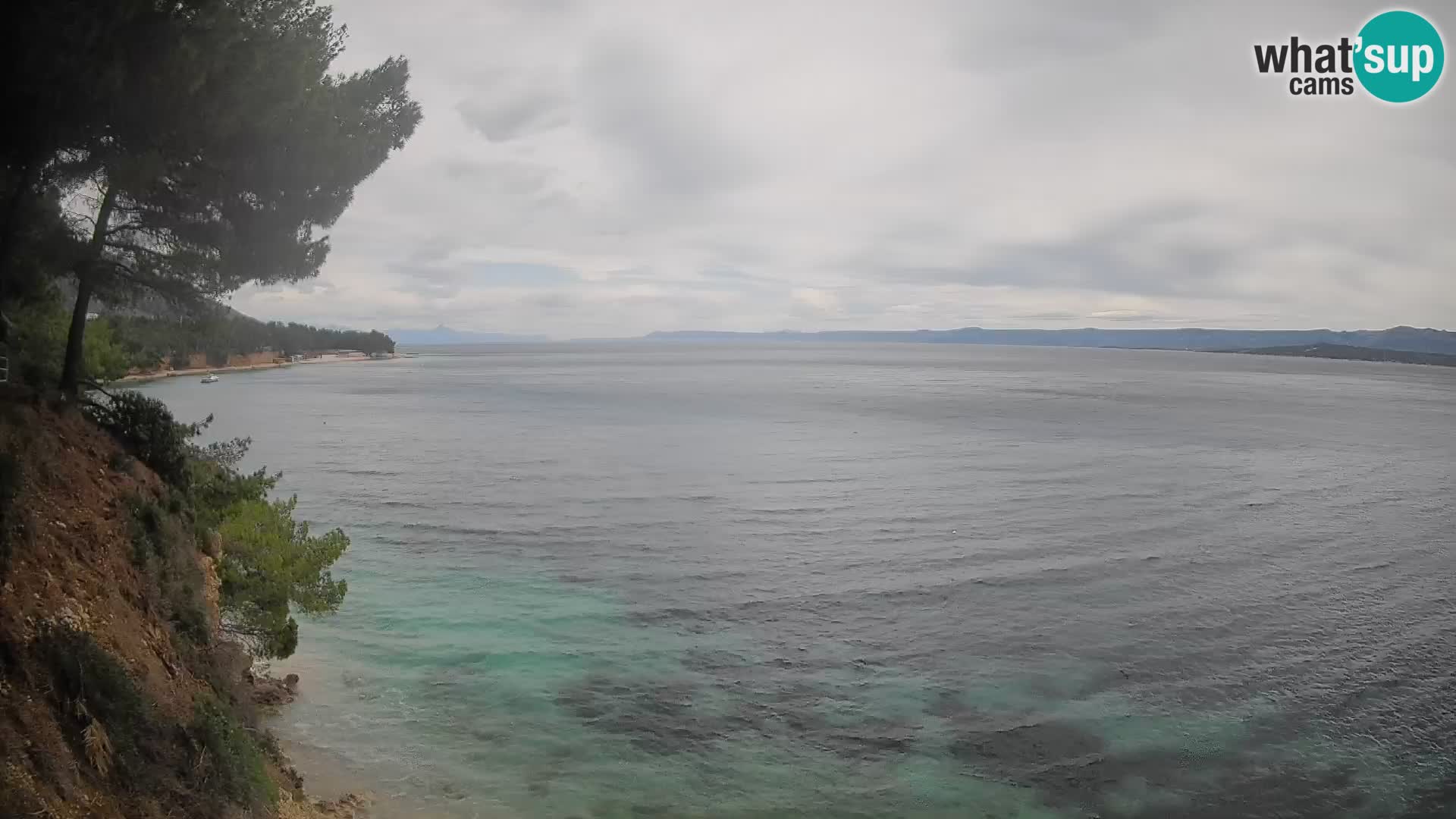 Webcam Potočine Beach Bol – Live View of Borak Beach, Brač Island