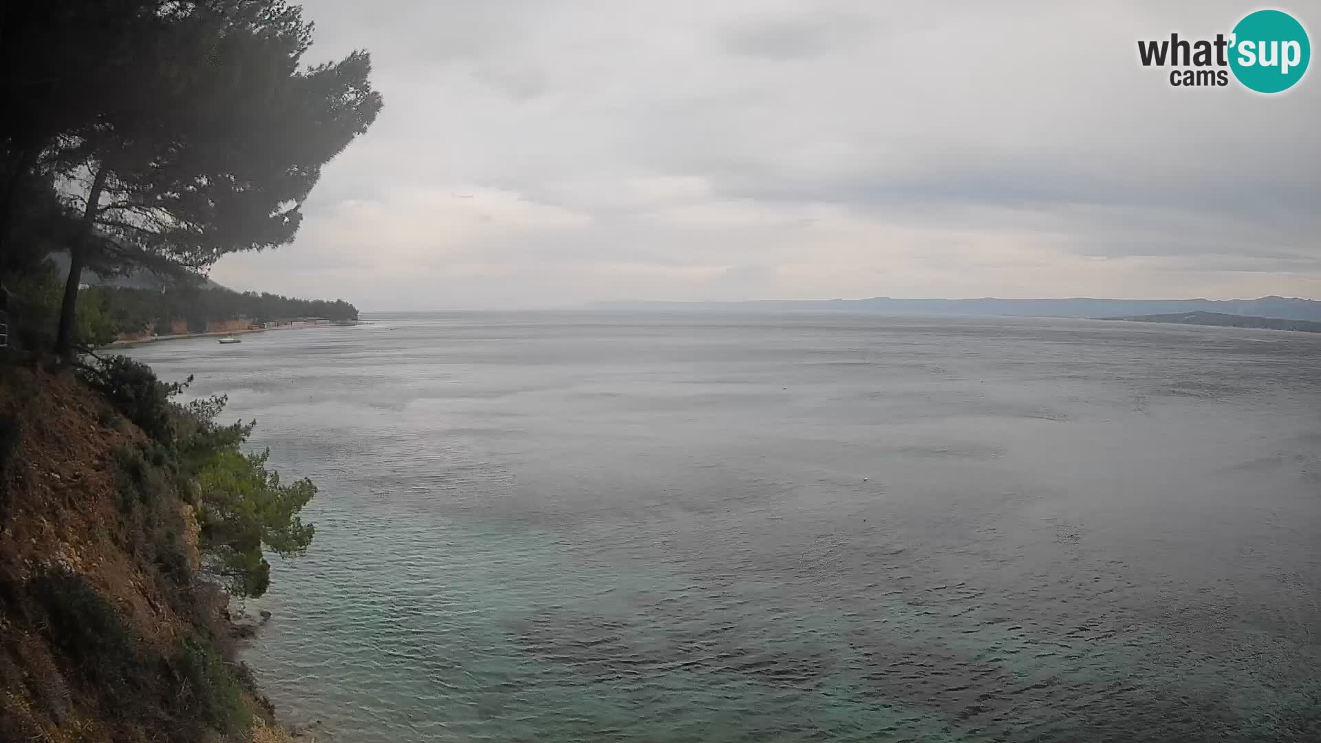 Webcam Potočine Beach Bol – Live View of Borak Beach, Brač Island