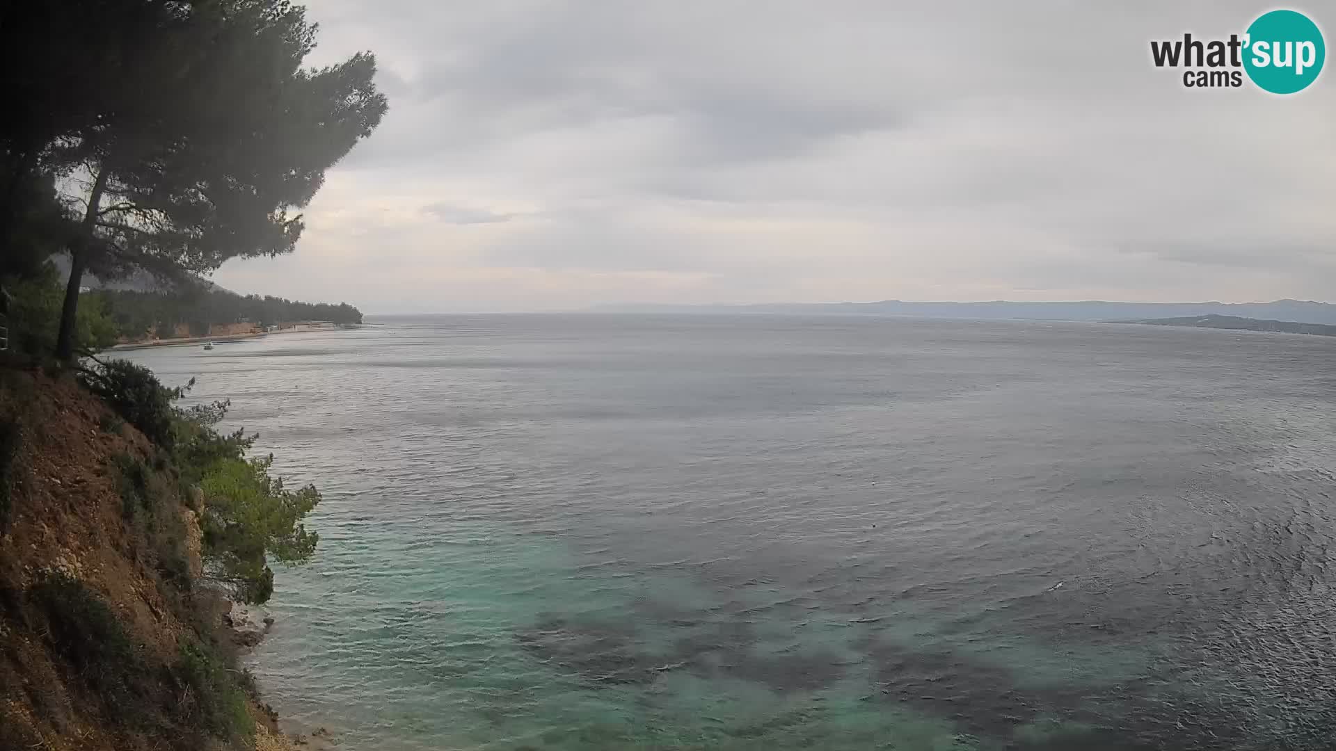Webcam Potočine Beach Bol – Live View of Borak Beach, Brač Island