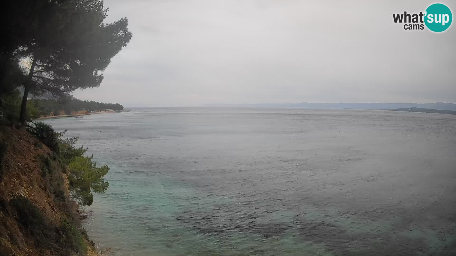 Webcam Potočine Beach Bol – Live View of Borak Beach, Brač Island