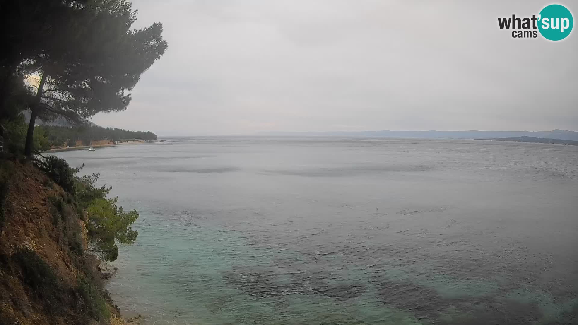 Webcam Potočine Beach Bol – Live View of Borak Beach, Brač Island