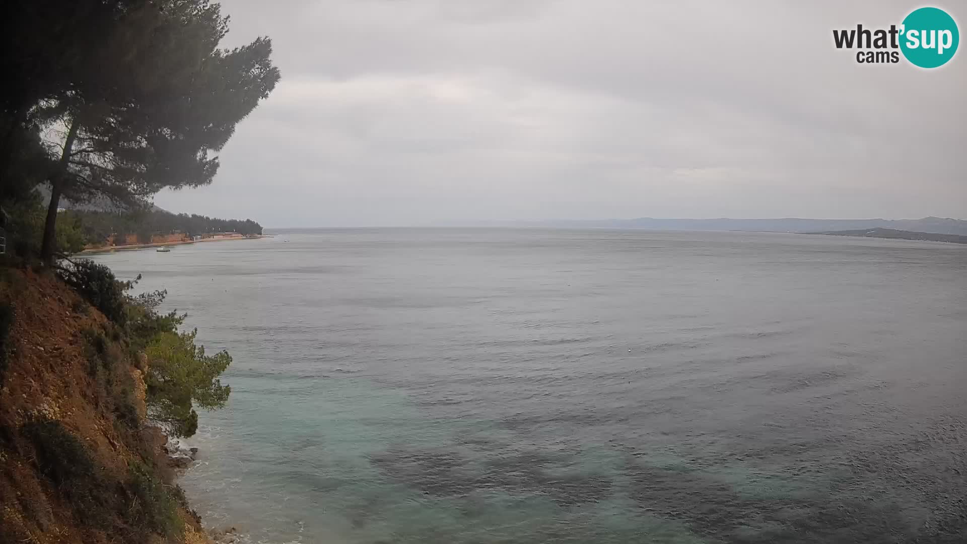 Webcam Potočine Beach Bol – Live View of Borak Beach, Brač Island