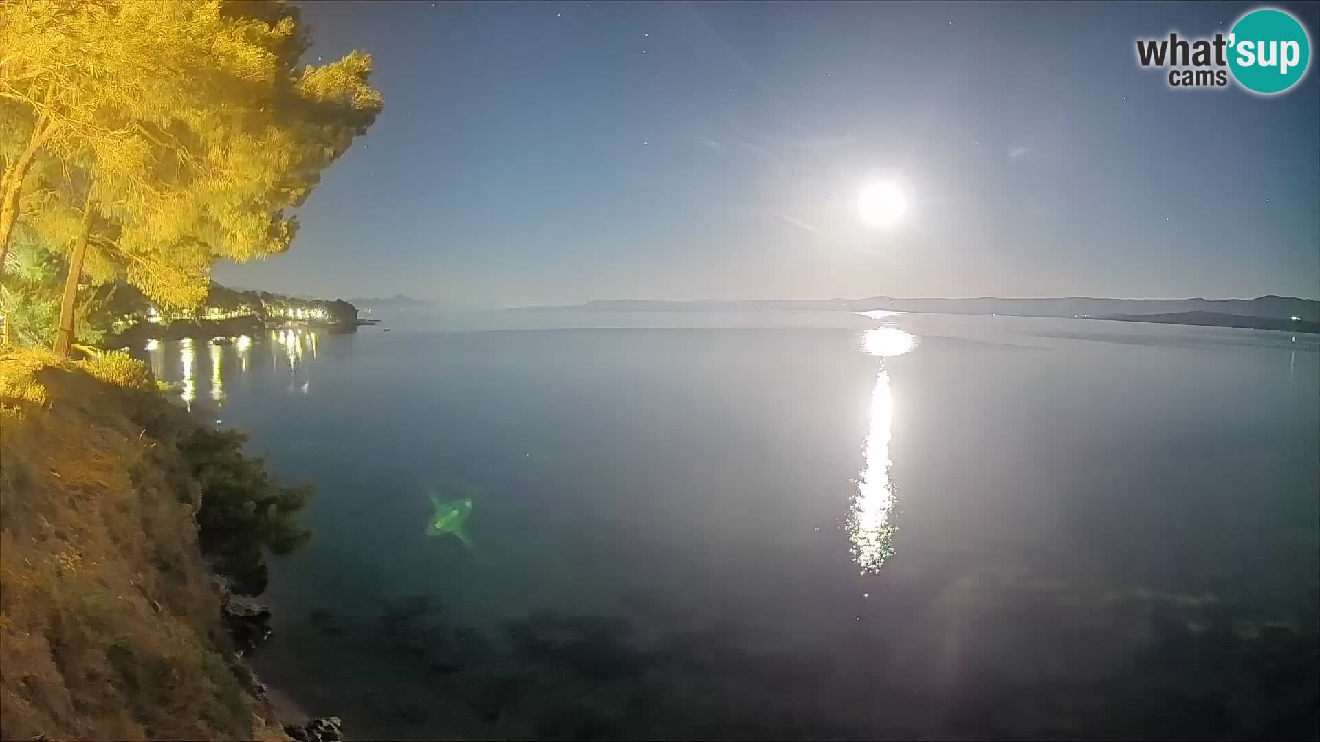 Webcam Potočine Beach Bol – Live View of Borak Beach, Brač Island