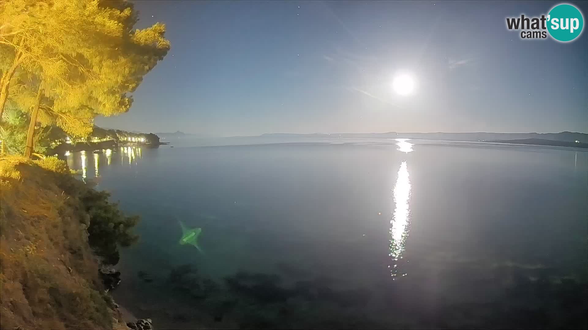 Webcam Spiaggia Potočine Bol – Vista live sulla spiaggia Borak, Isola di Brač