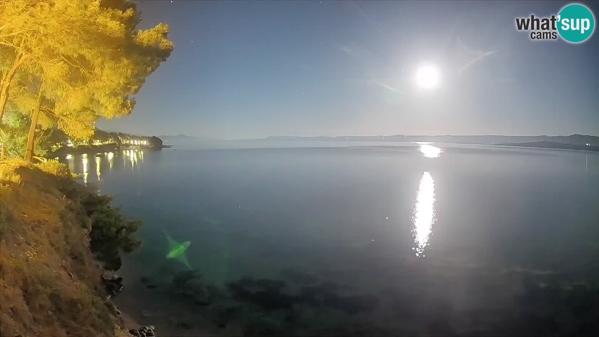 Webcam Spiaggia Potočine Bol – Vista live sulla spiaggia Borak, Isola di Brač