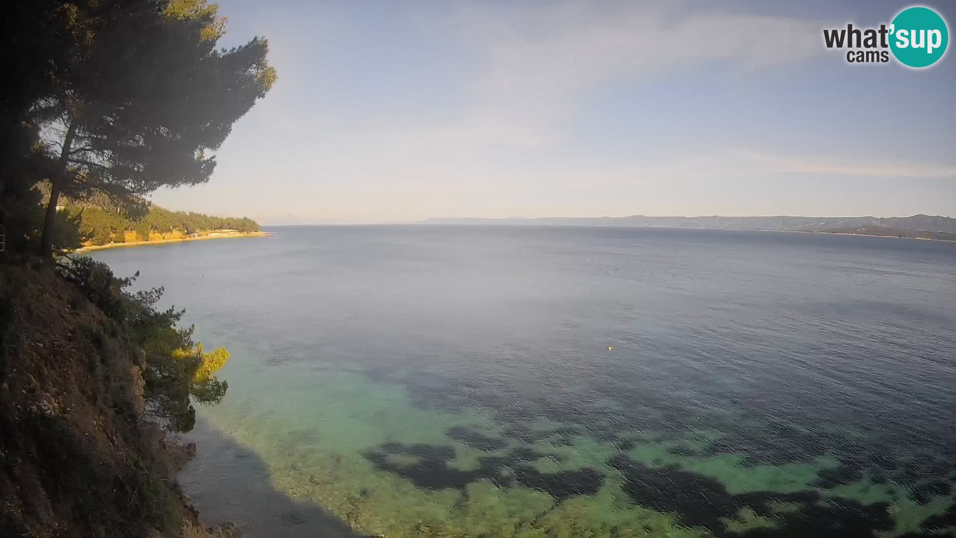Webcam Potočine Beach Bol – Live View of Borak Beach, Brač Island