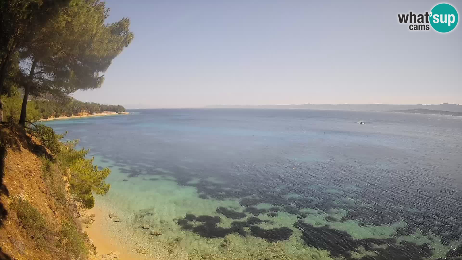 Webcam Playa Potočine Bol – Vista en vivo de Borak Beach, Isla de Brač