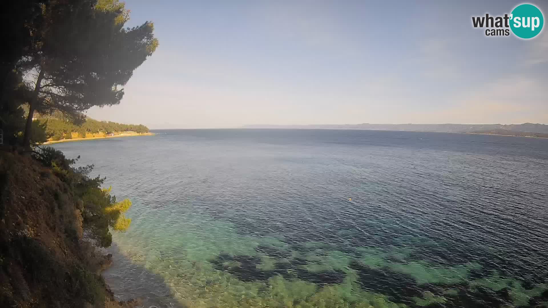 Webcam Potočine Beach Bol – Live View of Borak Beach, Brač Island