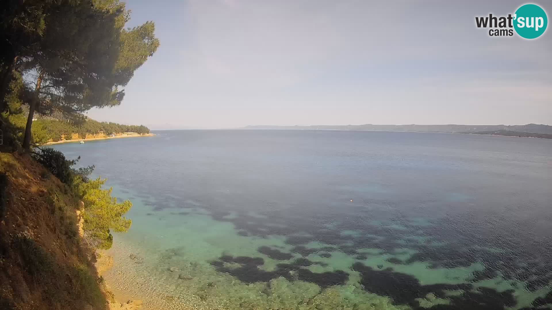 Webcam Potočine Beach Bol – Live View of Borak Beach, Brač Island