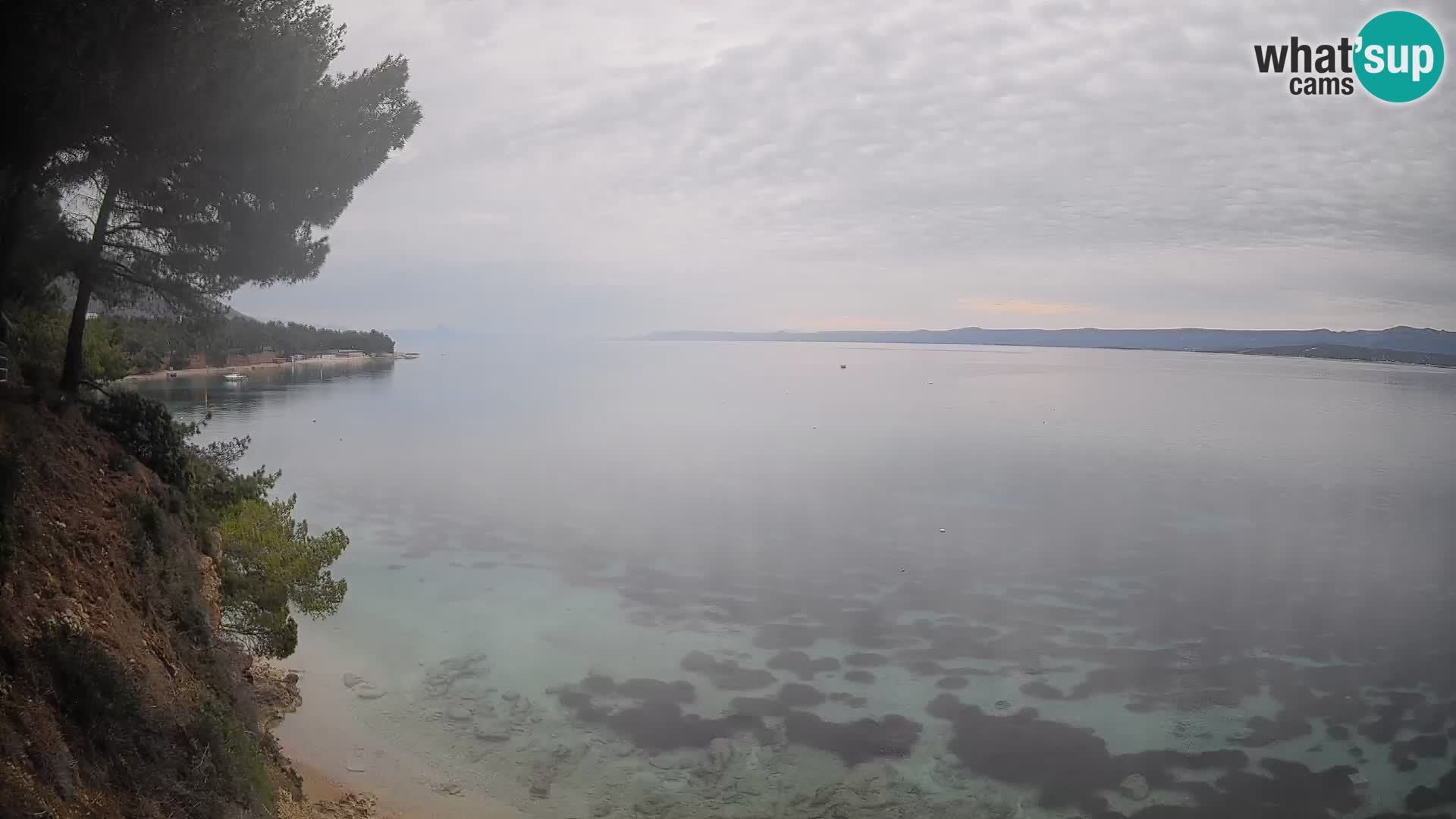 Webcam Potočine Beach Bol – Live View of Borak Beach, Brač Island